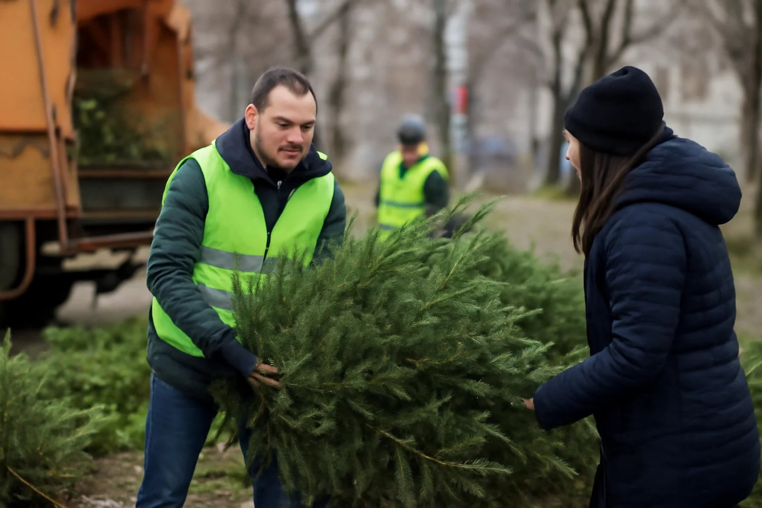 Campanie de colectare a brazilor de Crăciun demarată la Satu Mare